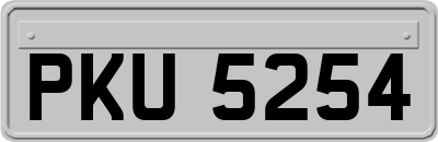 PKU5254