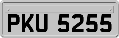 PKU5255