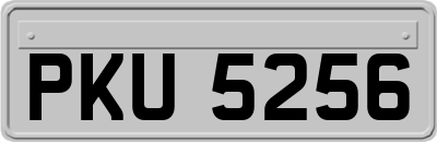 PKU5256