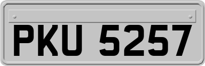 PKU5257