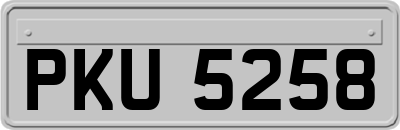 PKU5258
