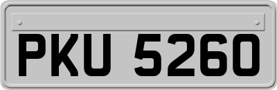 PKU5260