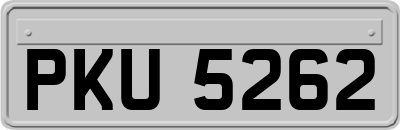 PKU5262