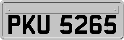 PKU5265
