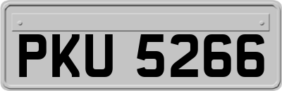 PKU5266