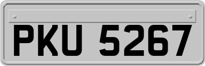 PKU5267