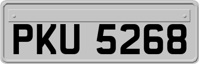 PKU5268
