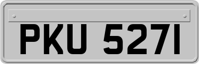 PKU5271