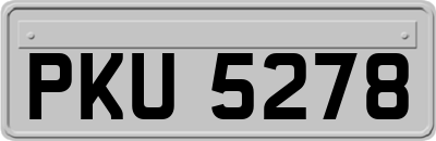 PKU5278