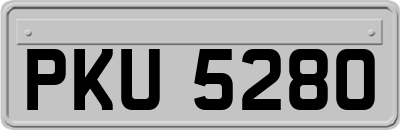 PKU5280