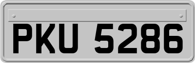 PKU5286