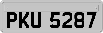 PKU5287