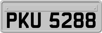 PKU5288