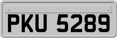 PKU5289