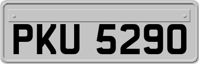 PKU5290