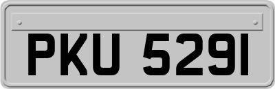 PKU5291