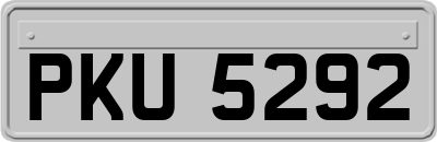PKU5292