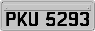 PKU5293
