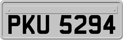 PKU5294
