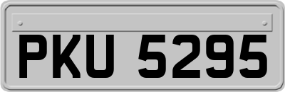PKU5295