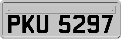 PKU5297