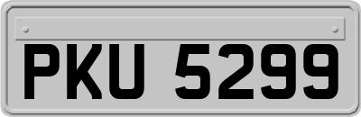 PKU5299