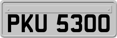 PKU5300