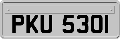 PKU5301