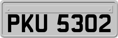PKU5302