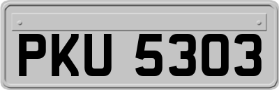 PKU5303