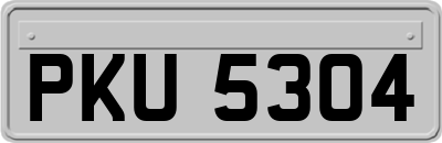 PKU5304