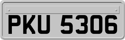 PKU5306
