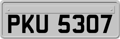 PKU5307