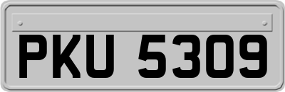 PKU5309