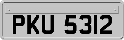 PKU5312