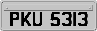 PKU5313