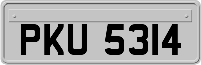 PKU5314