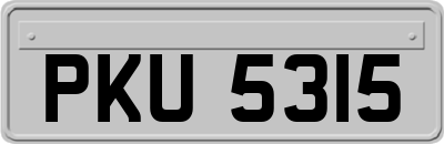 PKU5315