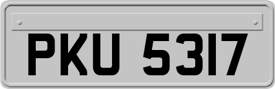 PKU5317