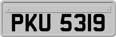 PKU5319