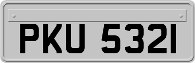 PKU5321