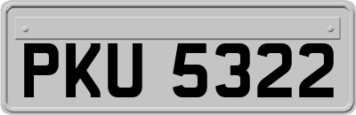 PKU5322