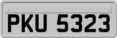 PKU5323