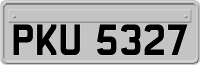 PKU5327