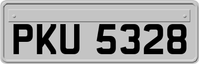 PKU5328