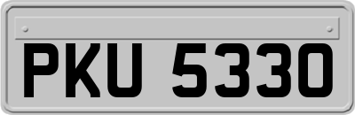 PKU5330