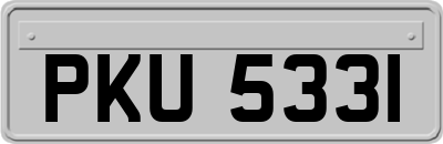PKU5331