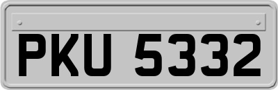 PKU5332