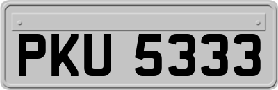 PKU5333