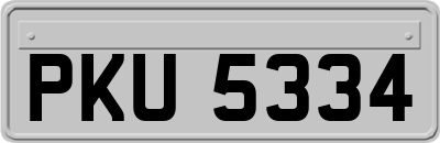 PKU5334